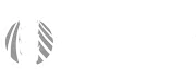 Blue Field Capital